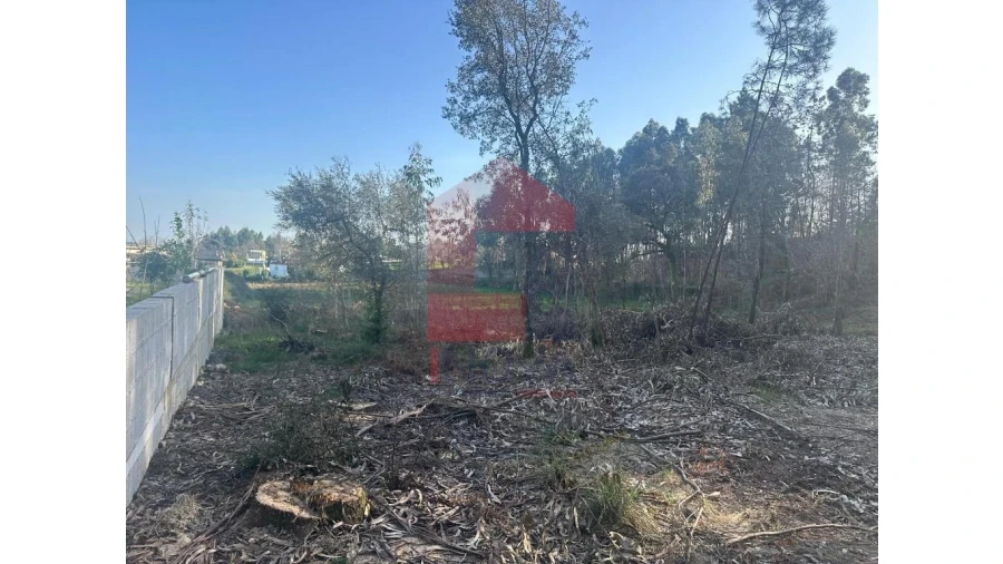 Terreno para Venda em Pico de Regalados, Gondiães e Mós Foto 9