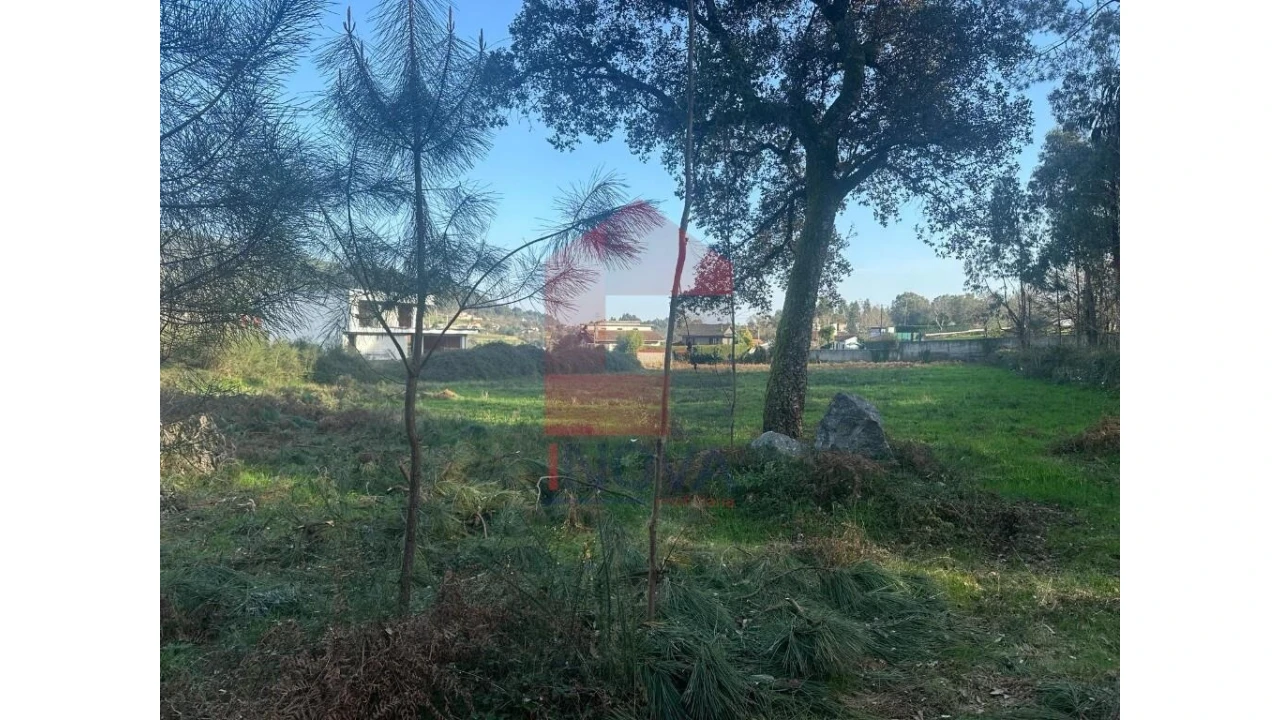 Terreno para Venda em Pico de Regalados, Gondiães e Mós Foto 13