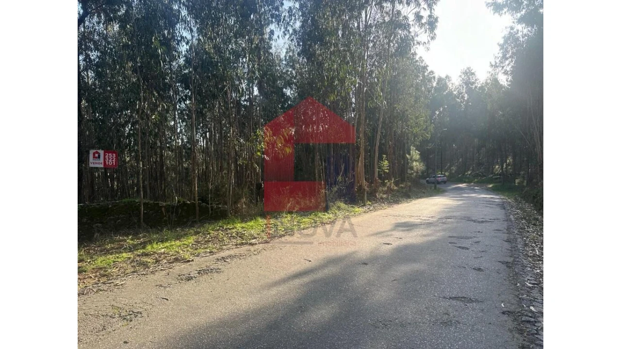 Terreno para Venda em Pico de Regalados, Gondiães e Mós Foto 1
