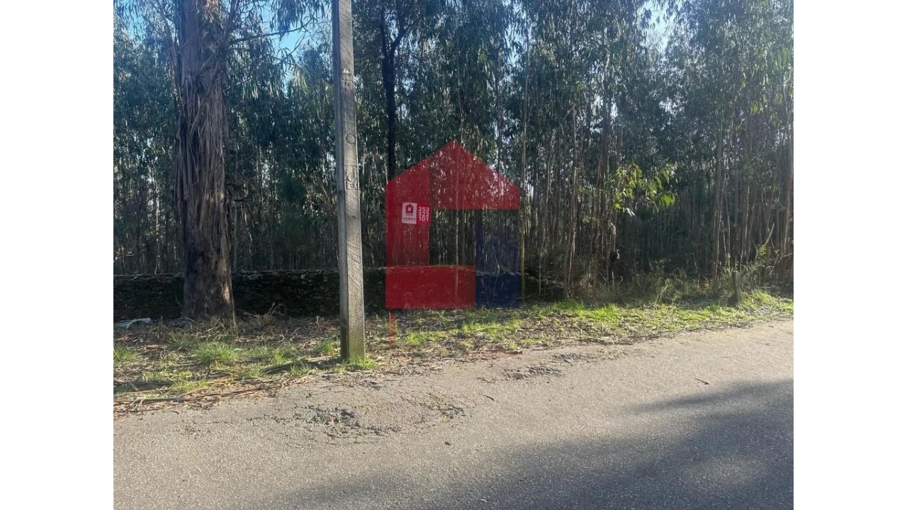 Terreno para Venda em Pico de Regalados, Gondiães e Mós Foto 5