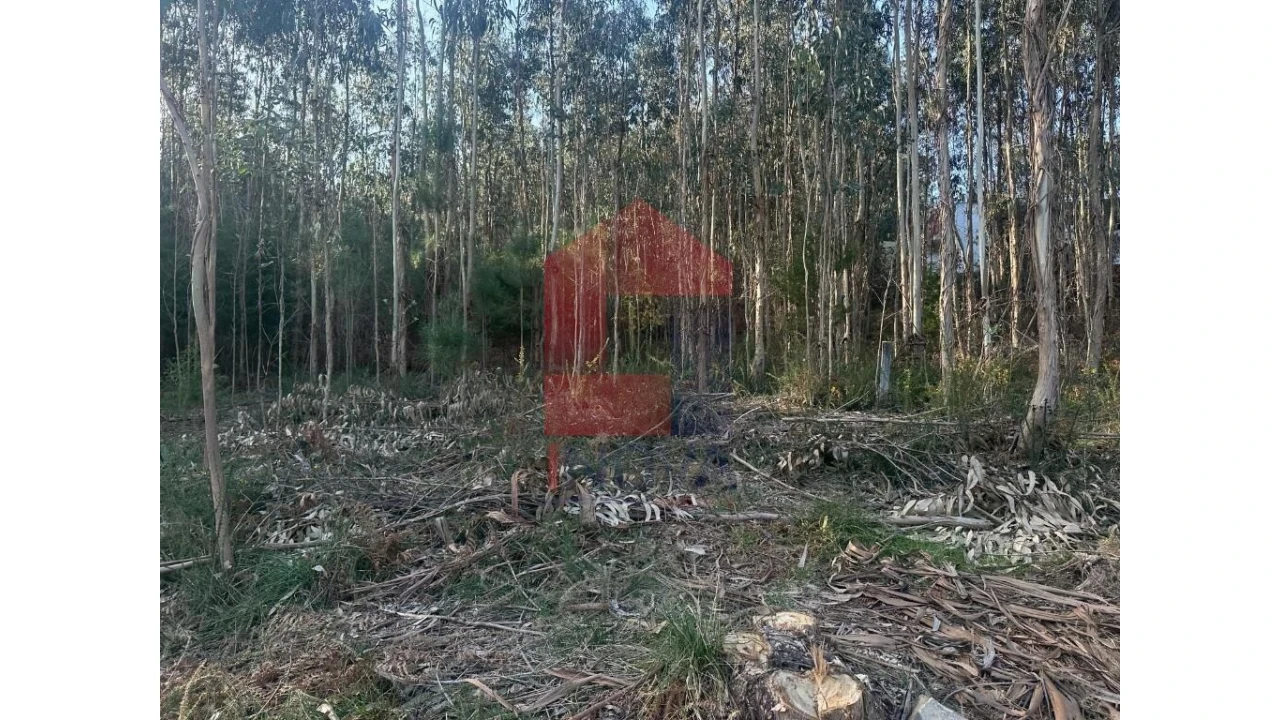 Terreno para Venda em Pico de Regalados, Gondiães e Mós Foto 11