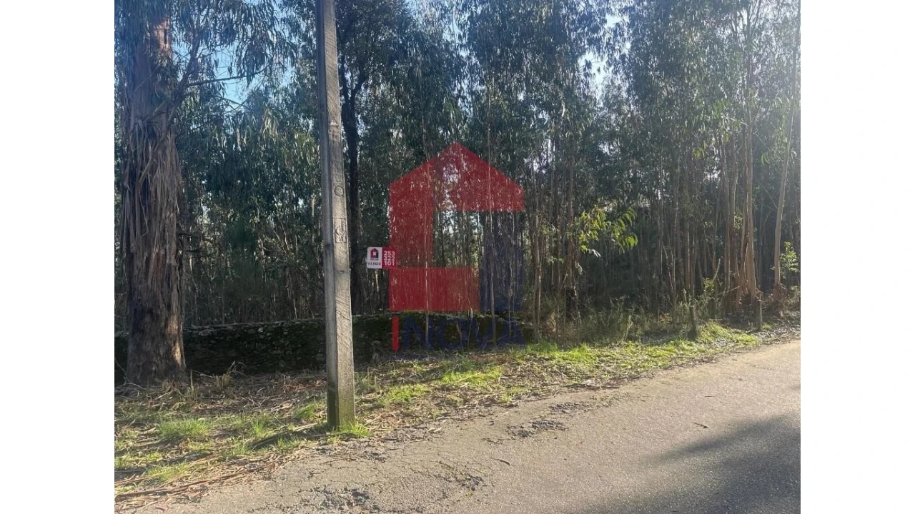 Terreno para Venda em Pico de Regalados, Gondiães e Mós Foto 3