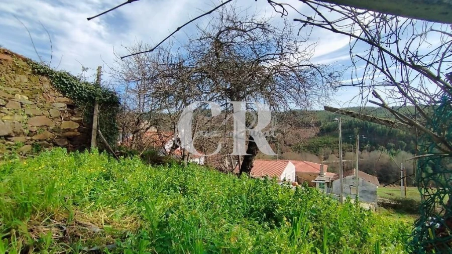 Moradia T2 para Venda em Castanheira de Pêra e Coentral Foto 6