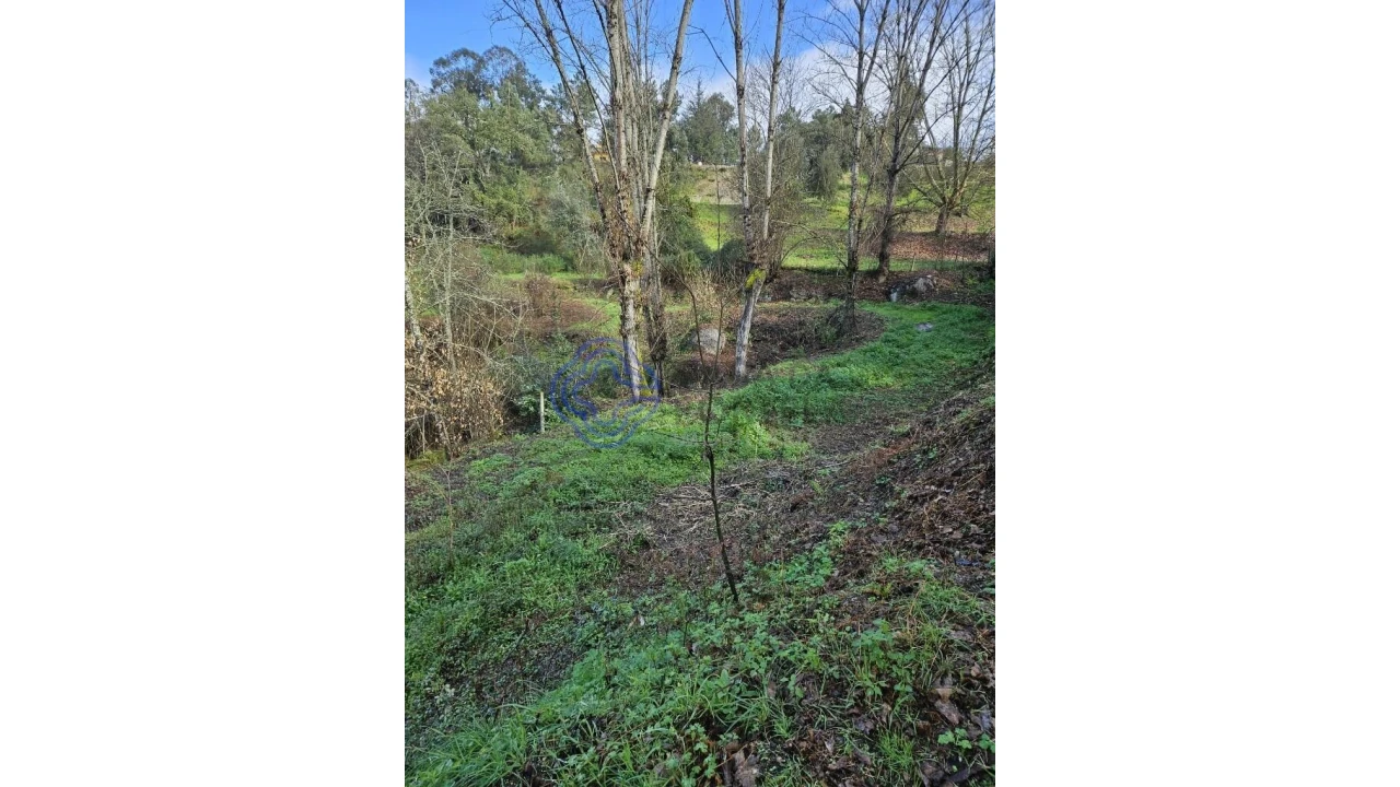 Terreno para Venda em Vila Chã do Marão Foto 23