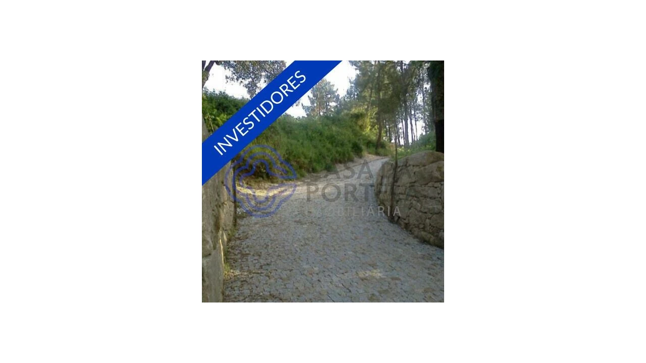 Terreno para Venda em Vila Chã do Marão Foto 38