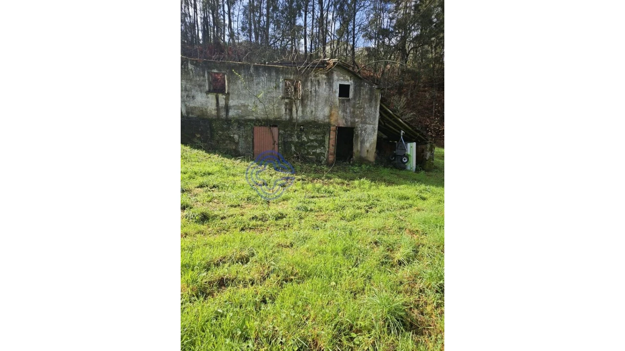 Terreno para Venda em Vila Chã do Marão Foto 33