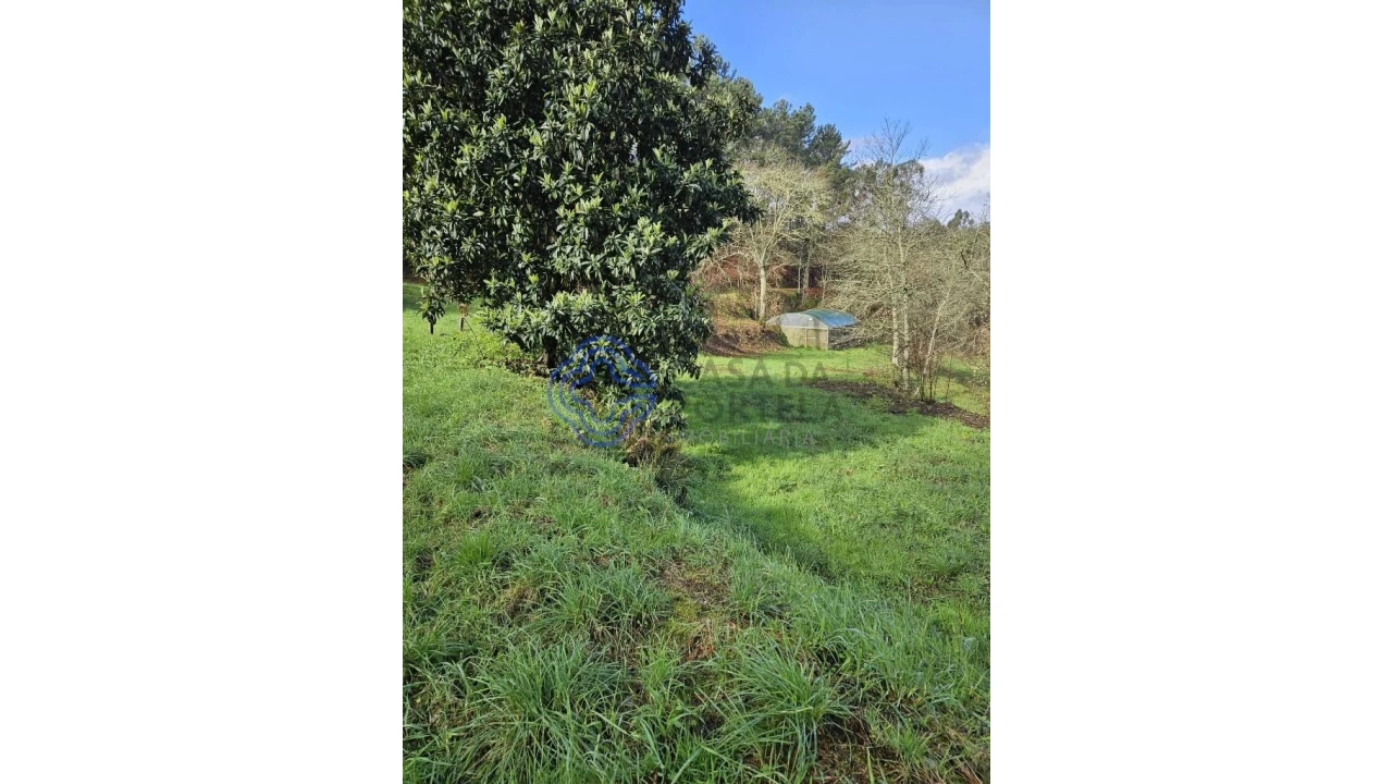 Terreno para Venda em Vila Chã do Marão Foto 26