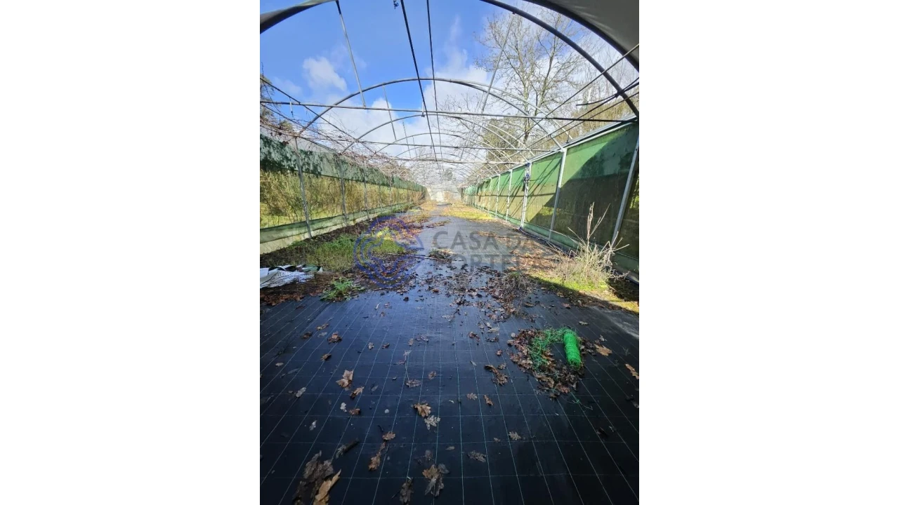 Terreno para Venda em Vila Chã do Marão Foto 15
