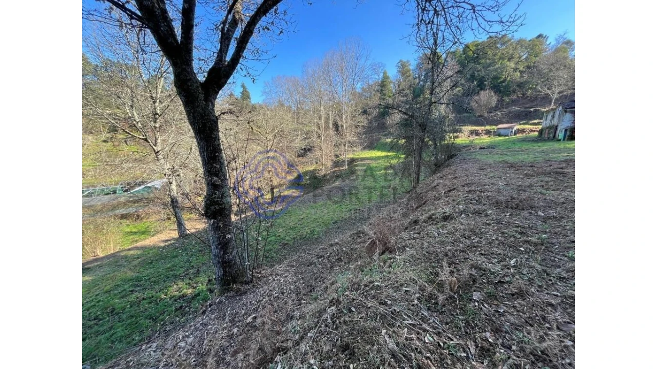 Terreno para Venda em Vila Chã do Marão Foto 9