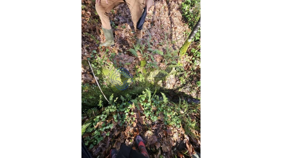 Terreno para Venda em Vila Chã do Marão Foto 18