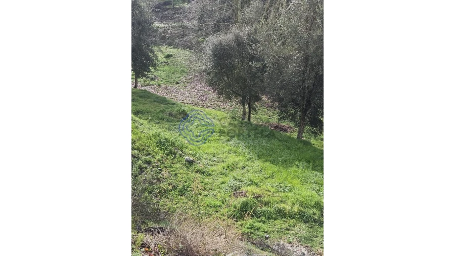 Terreno para Venda em Vila Chã do Marão Foto 34