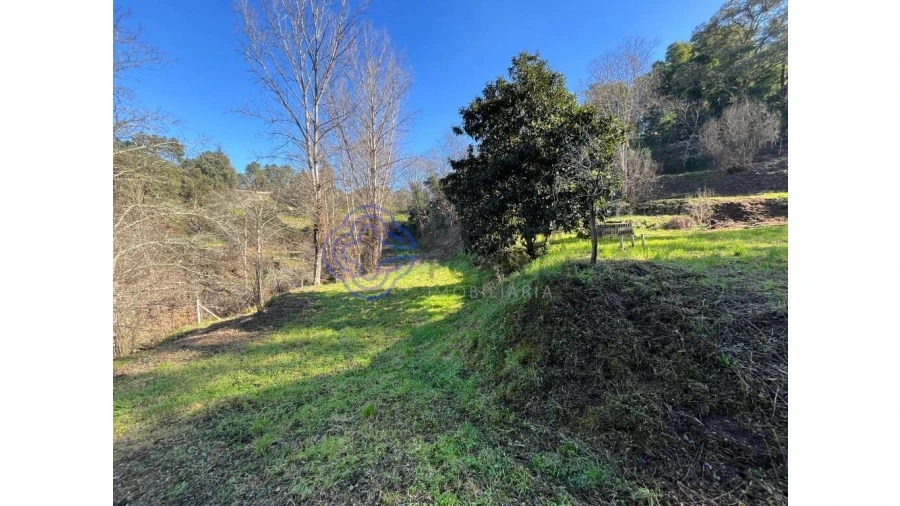 Terreno para Venda em Vila Chã do Marão Foto 11