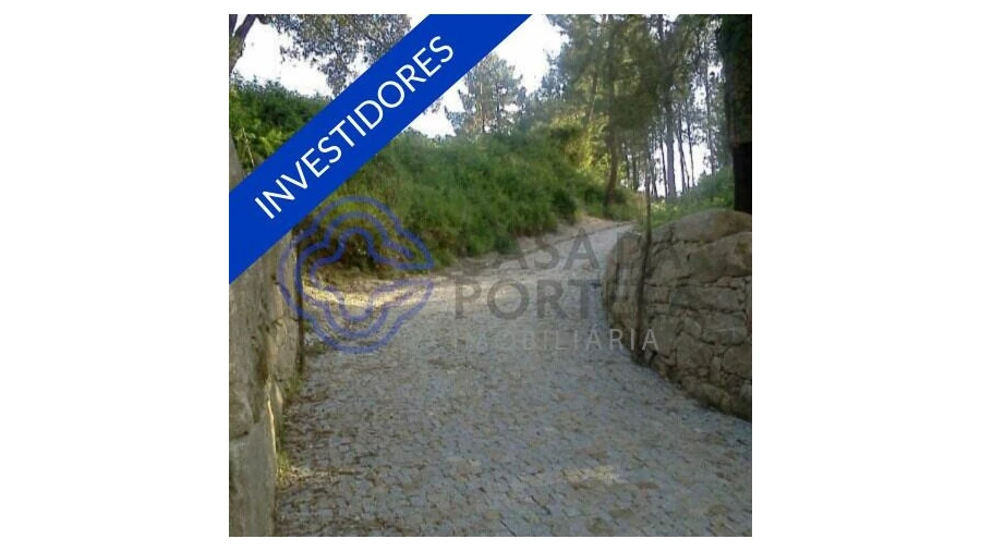 Terreno para Venda em Vila Chã do Marão Foto 38