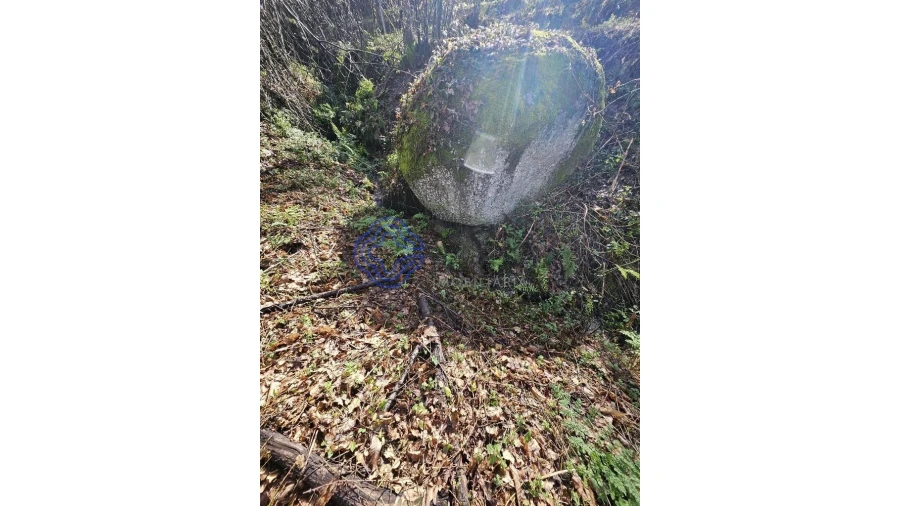 Terreno para Venda em Vila Chã do Marão Foto 17