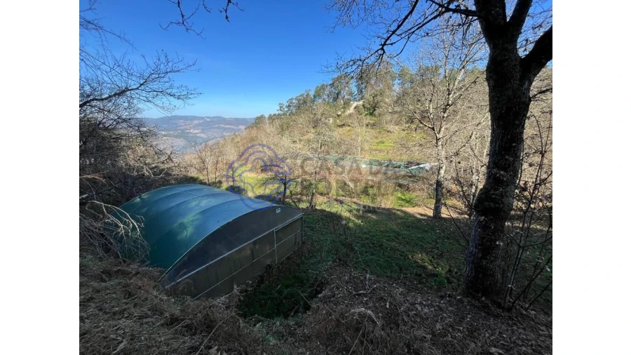 Terreno para Venda em Vila Chã do Marão Foto 12