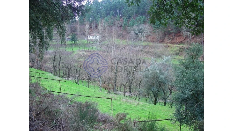 Terreno para Venda em Vila Chã do Marão Foto 3