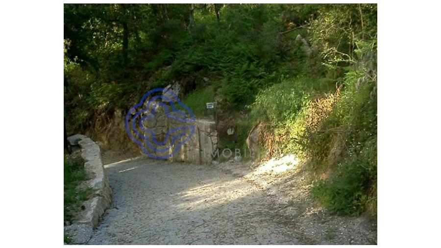 Terreno para Venda em Vila Chã do Marão Foto 2