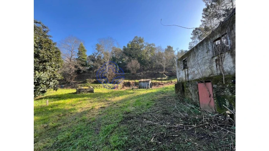 Terreno para Venda em Vila Chã do Marão Foto 6