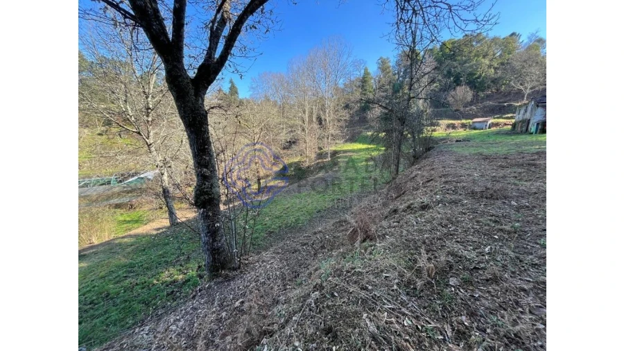 Terreno para Venda em Vila Chã do Marão Foto 9