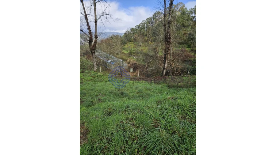 Terreno para Venda em Vila Chã do Marão Foto 22