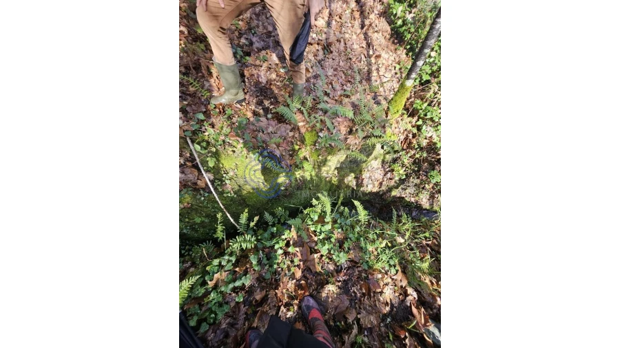 Terreno para Venda em Vila Chã do Marão Foto 16