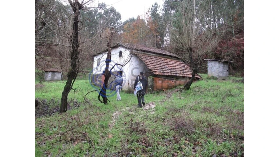 Terreno para Venda em Vila Chã do Marão Foto 4