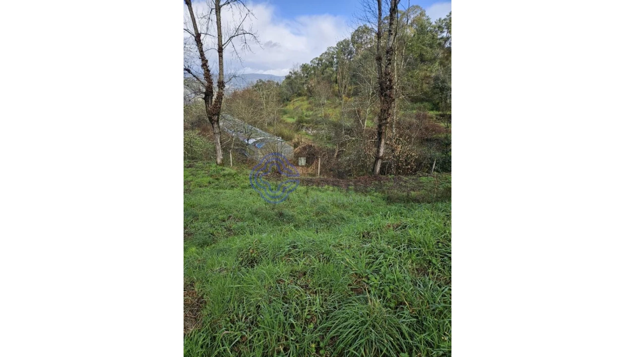Terreno para Venda em Vila Chã do Marão Foto 22