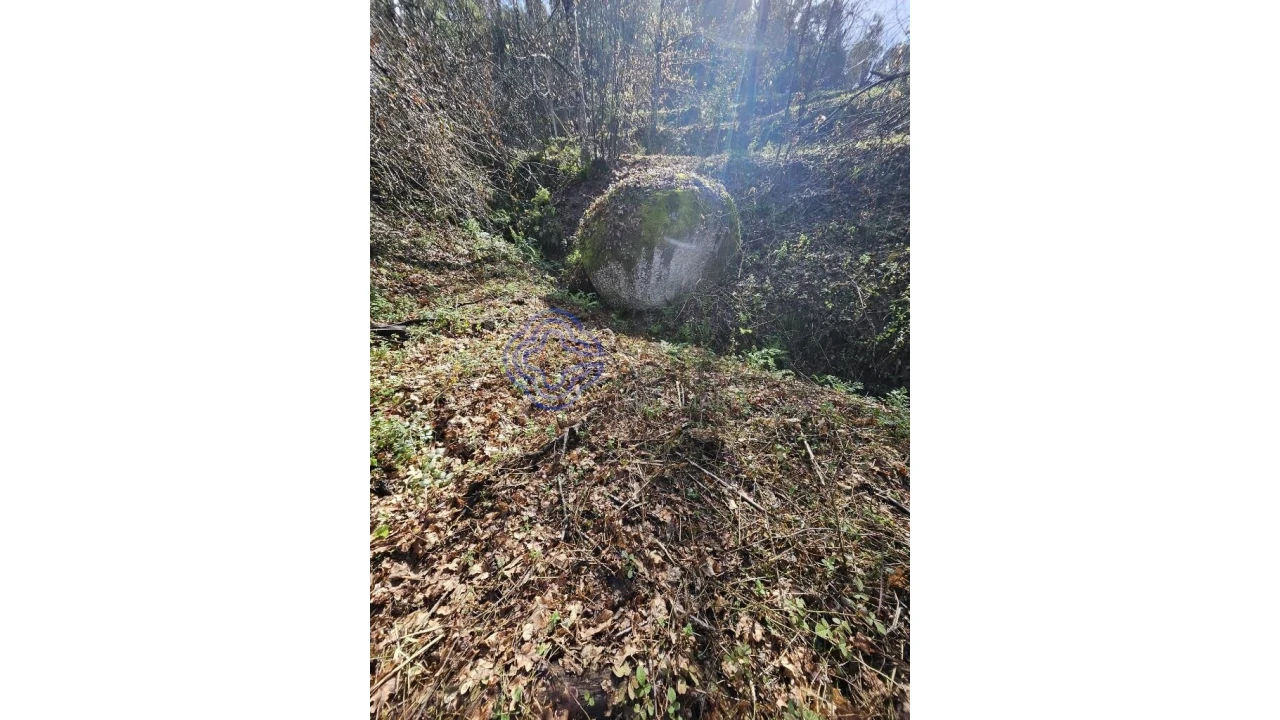 Terreno para Venda em Vila Chã do Marão Foto 20
