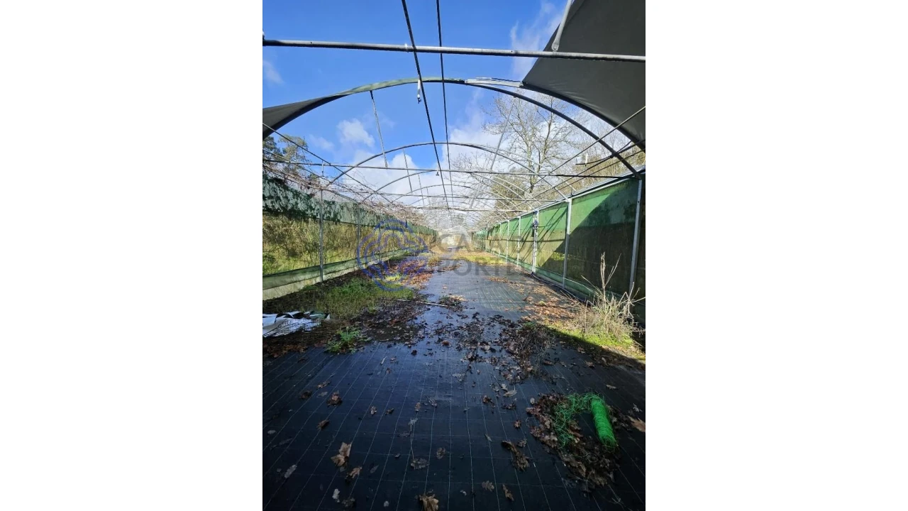 Terreno para Venda em Vila Chã do Marão Foto 13