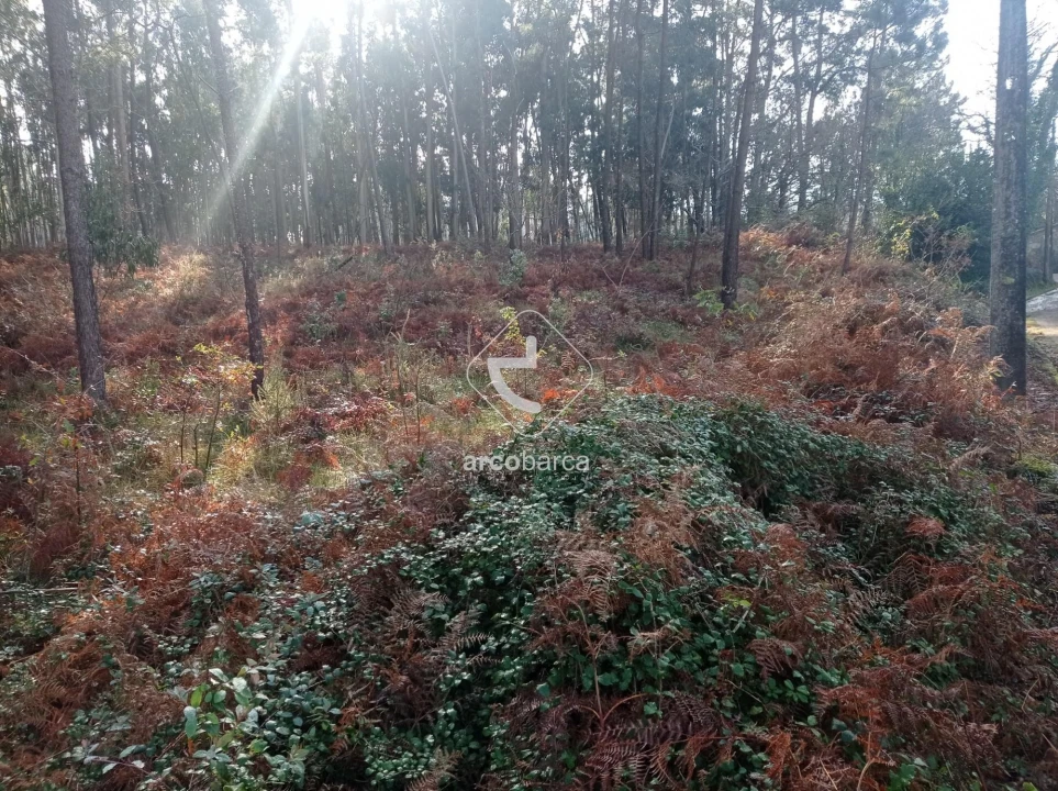 Terreno para Venda em Campos e Vila Meã Foto 1