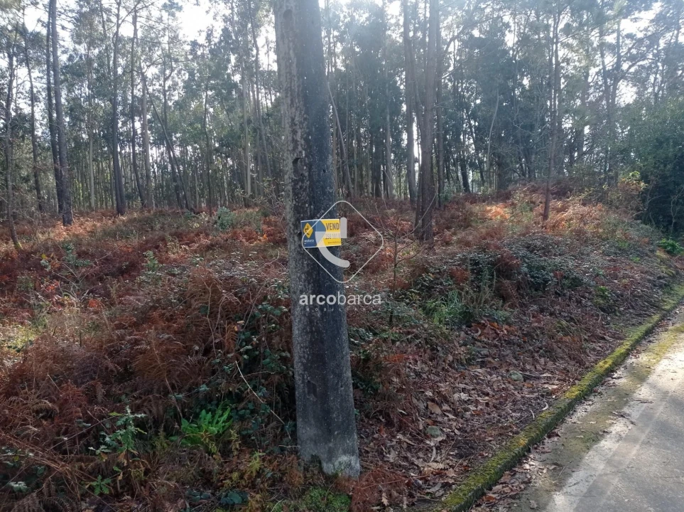 Terreno para Venda em Campos e Vila Meã Foto 3