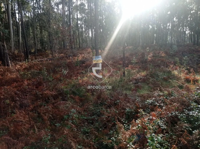 Terreno para Venda em Campos e Vila Meã Foto 4