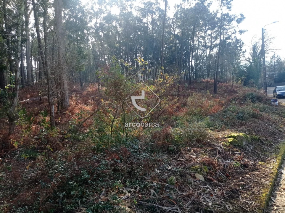 Terreno para Venda em Campos e Vila Meã Foto 2