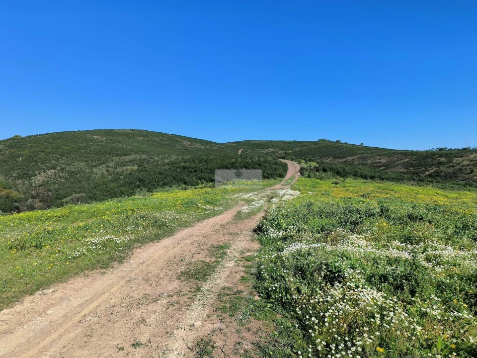 Terreno para Venda em Lagos (São Sebastião e Santa Maria) Foto 18