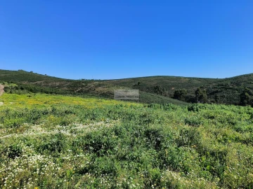 Terreno para Venda em Lagos (São Sebastião e Santa Maria)