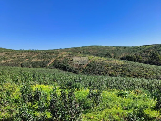 Terreno para Venda em Lagos (São Sebastião e Santa Maria) Foto 25
