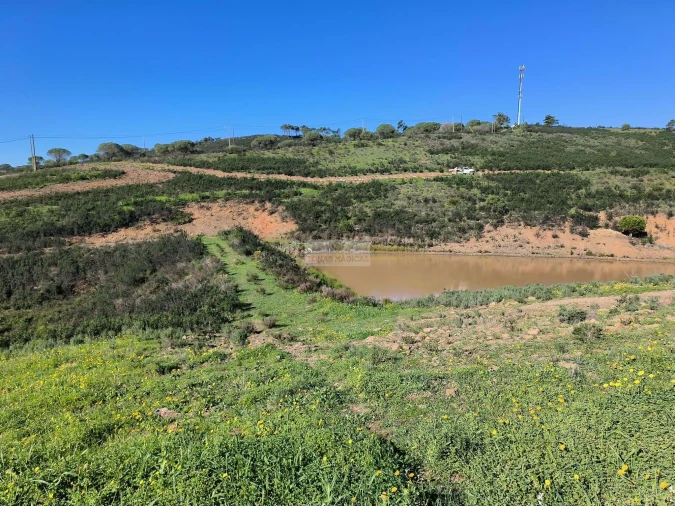 Terreno para Venda em Lagos (São Sebastião e Santa Maria) Foto 13
