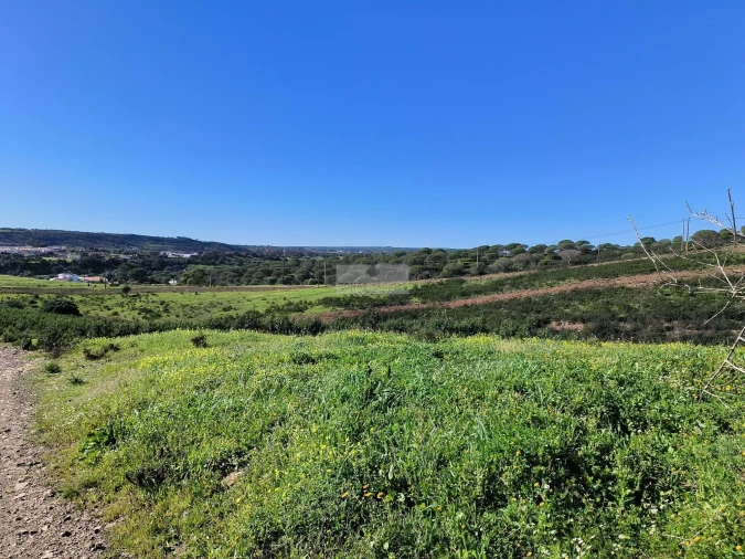 Terreno para Venda em Lagos (São Sebastião e Santa Maria) Foto 20
