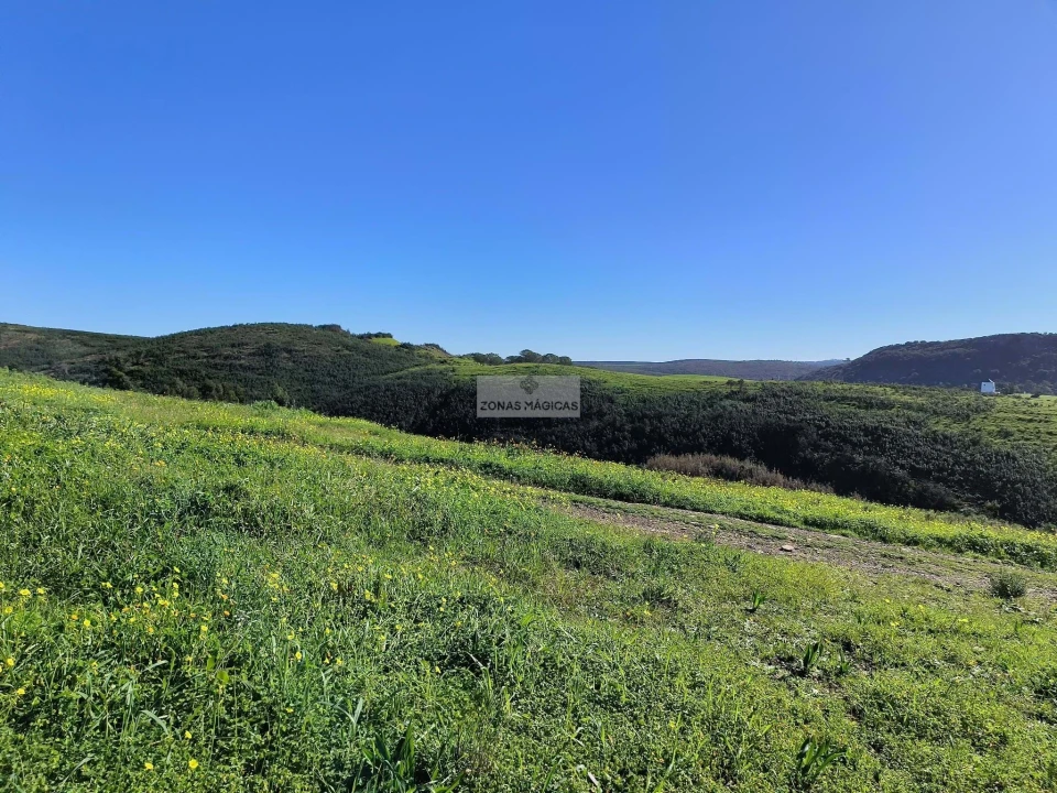 Terreno para Venda em Lagos (São Sebastião e Santa Maria) Foto 24