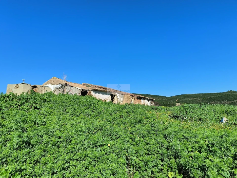 Terreno para Venda em Lagos (São Sebastião e Santa Maria) Foto 6