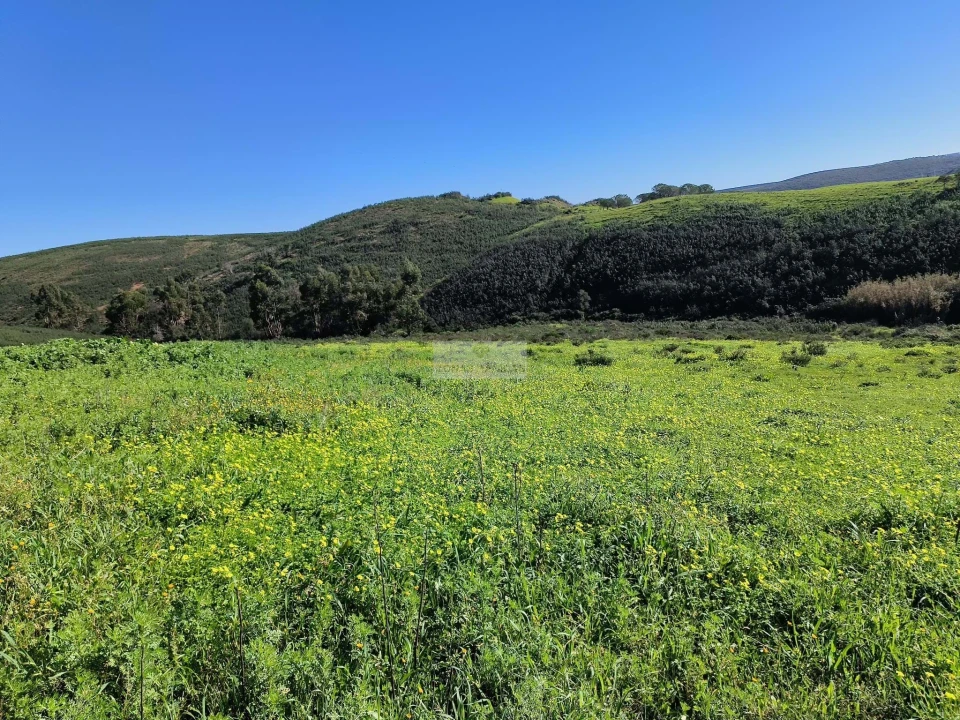 Terreno para Venda em Lagos (São Sebastião e Santa Maria) Foto 23