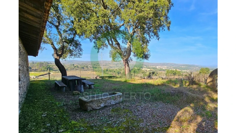 Quinta T0 para Venda em Sonim e Barreiros Foto 4