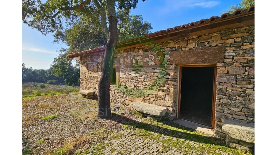 Quinta T0 para Venda em Sonim e Barreiros Foto 2