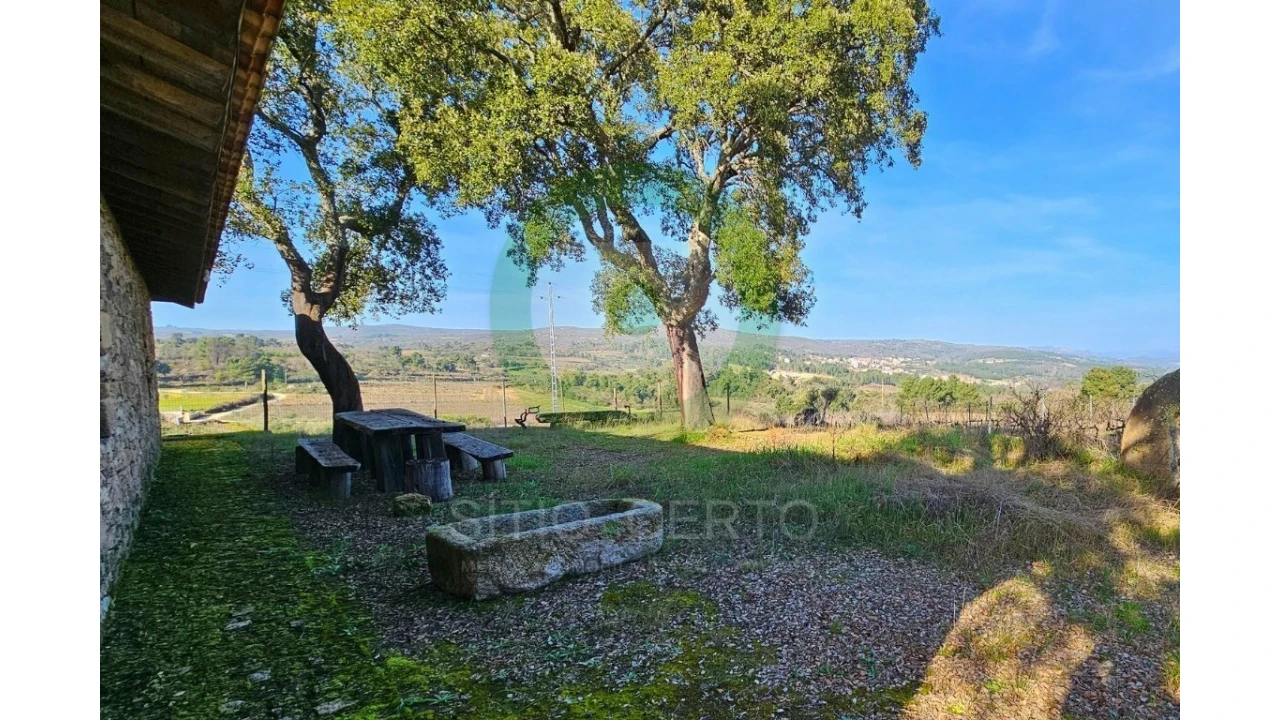 Quinta T0 para Venda em Sonim e Barreiros Foto 4