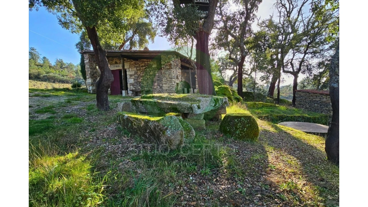 Quinta T0 para Venda em Sonim e Barreiros Foto 9