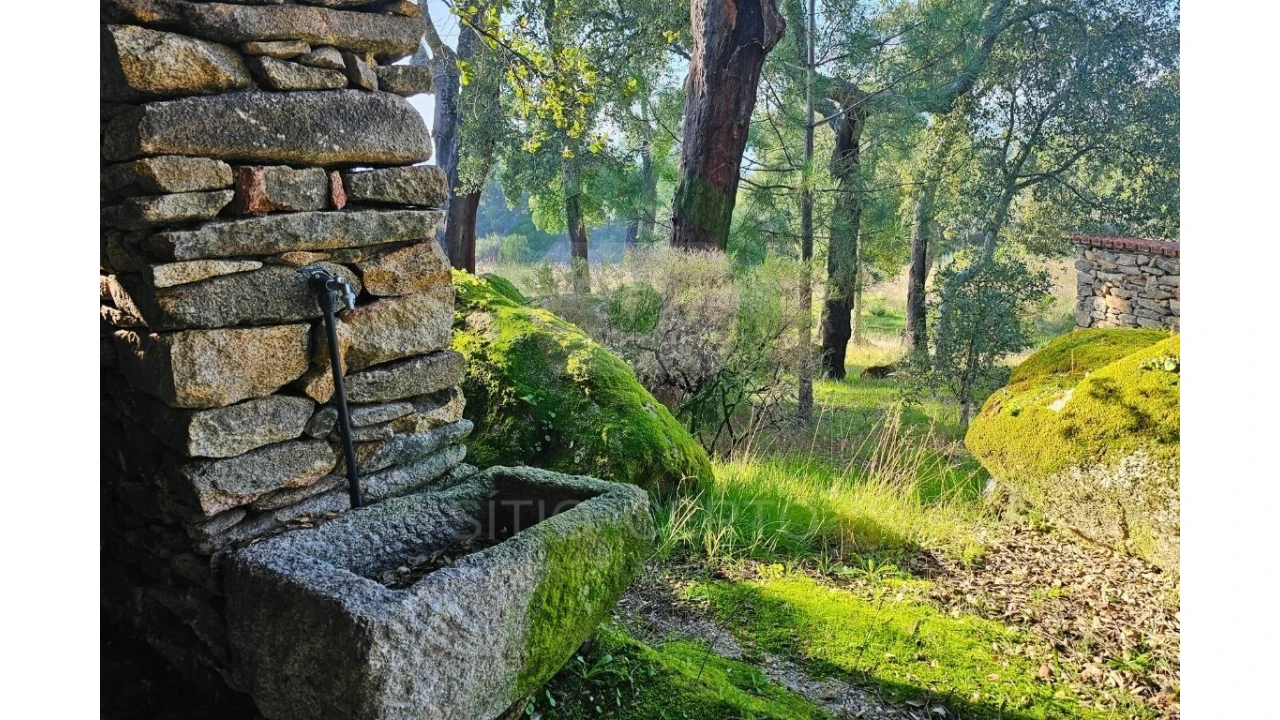 Quinta T0 para Venda em Sonim e Barreiros Foto 5