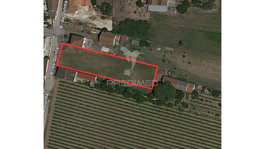 Terreno para Venda em Ventosa Foto 7