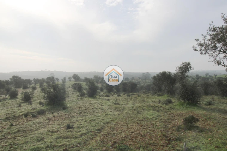 Terreno para Venda em Amieira e Alqueva Foto 9