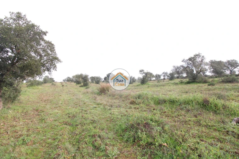 Terreno para Venda em Amieira e Alqueva Foto 5
