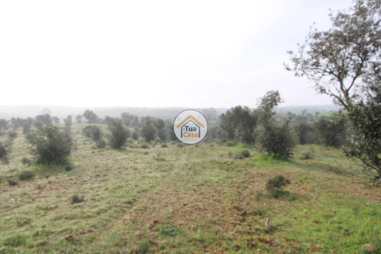 Terreno para Venda em Amieira e Alqueva Foto 8